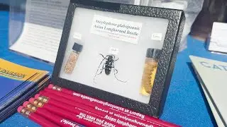 Community expo in Saratoga Springs highlights threat of invasive species