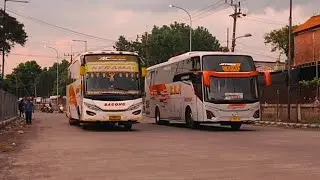 Hunting Sore di Jalur Balap Terminal Bungurasih 