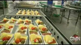 In Flight Meals