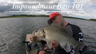 Australian Bass how to tips for the Impoundment