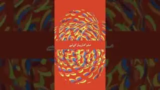 MGC Bloom Fest 24th & 25th November 2023 by Syed Murad Ali Shah Kazmi Brand Ambassador MGC