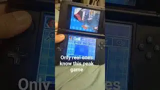 Cory in the house for Nintendo ds