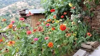 Tosçalı Köyü-Bulgaristan-Kırcaali-Eğridere