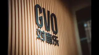 GVO Music Group Promo Video (2019)
