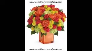 canada florist com