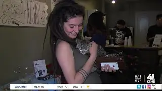 Costs drive shift toward cat adoptions as dog ownership declines, report finds