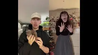 #duet with @gredodoinende She doesn't like my snail🥺Cute bugs| Incredible insects #Shorts