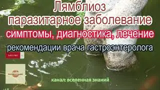 046-386 Лямблиоз - паразитарное заболевание, симптомы, диагностика, лечение.