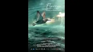 Flyways: The Untold Journey of Migratory Shore Birds