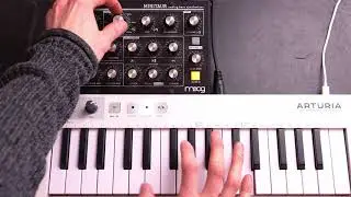 House-bassline played live with the moog minitaur