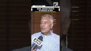 Blame should not be put on BJP: Sunil Jakhar on revolt in SAD