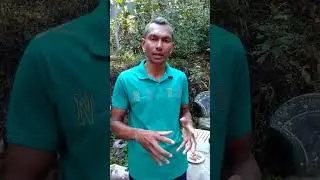 මී මැසි ජනපදයට අමතර ආහාර ලබා දීම
