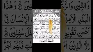Most Beautiful Recitation ❤️ #shorts #shortvideo #quran