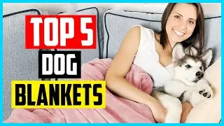 Top 5 Best Dog Blankets in 2025&ndash; Reviews