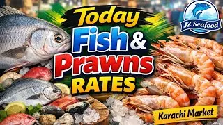 Today Karachi Fish Market Prices 🐟🦐 | Fresh Fishes & Prawns Rate Update | Wholesale Market