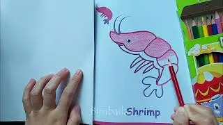 Fun Coloring the Shrimp very enjoyable