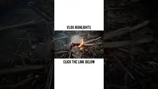 #entertainment #highlights #vlog #dailyvlog #shorts #youtubeshorts