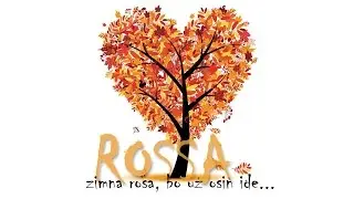 ROSSA - 11 Posadžu fijalky