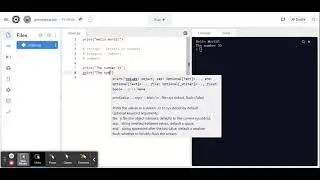 P1 - Print Command - Python