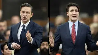 Pierre Poilievre compares Justin Trudeau's spending to a 