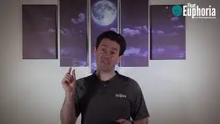 How we clean our Dreampods
