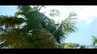 Hotboy Turk x Trackman-Sleepless Success