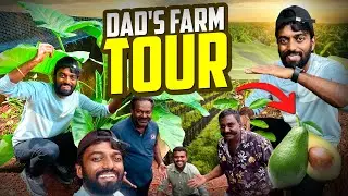 Daddy's Farm Tour 🚜🎋🥑🥭🍠 | DAN JR VLOGS