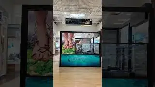 Concord Mills Mall ✨ Mall Tour | POV #malltour #shoppingmall #walkthrough