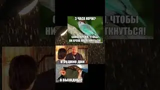 мем #meme #мем