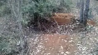 Alvinopolis