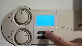 VAILLANT EcoTecPlus /Borrar 