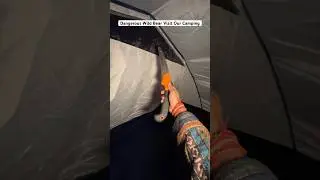 Dangerous Wild Bear Visit Our Camping #wildcamping #scary #horror #wildlife #camping #campinginindia