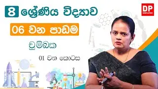 06 වන පාඩම (චුම්බක - 01 කොටස) | 08 වන ශ්‍රේණිය විද්‍යාව