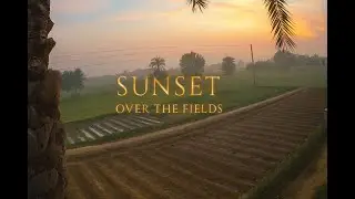[LIVE] Punjab Village Life | Peaceful Farm & Nature Sounds in Pakistan