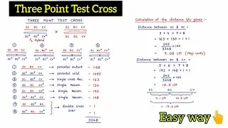 Three Point Test Cross  l Genetic Maps l Competitive Botany l