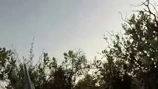 28-08-2014, Torcaces. Pigeon Shooting