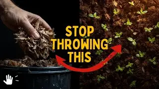 People Throw This Away&hellip; But It&rsquo;s the Best Soil Building Material You Can Find