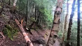 Hale via Hale Brook Trail