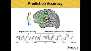 OHBM 2018 | Oral Session | Yizhen Zhang | High Gamma Electrocorticography in Superior Temporal Gyr&hellip;