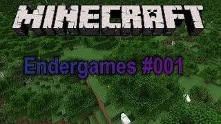 DAS ERSTE FERIEN VIDEO!!!!! Eine Runde Endergames | Free_time zocks