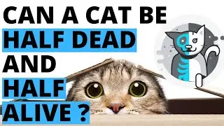Can A Cat Be Half Dead And Half Alive? | Schrodinger Cat Experiment Explained | Quantum Physics