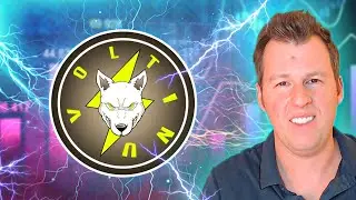 Volt Inu: запуск Voltiflex + другие обновления