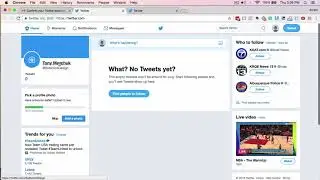 SEO Optimized Twitter Setup for Business