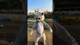 Teddyy dancing on &ldquo;boom boom yess yess&rdquo; #boom-boomyesyes #teddy #dance