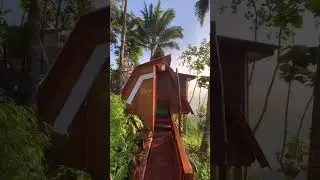 Welirang Forest Pacet Mojokerto Indonesia