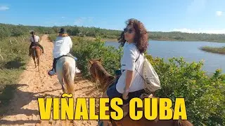 Que hacer en Viñales por 24 horas. El GOBIERNO Se queda el 90 % de los sembrados. Pinar del Río Cuba