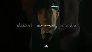 Thomas Shelby වගේ වෙන්න🤌 | Sinhala Motivation Video | Motivation Short | Sigma Rule | Sigma Attitude