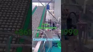 Quail egg production line-300kg per hour