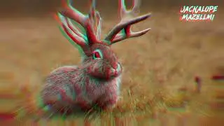Jackalope sounds