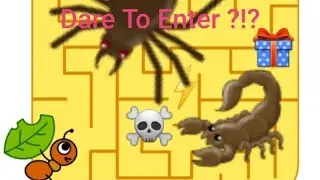 Maze Challenge and Questions: Ants Underground Kingdom tips tutorial